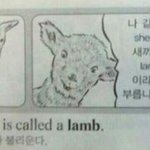 [댓글부탁해] 저번 6평 국어 <b>난이</b>도 어땠어???