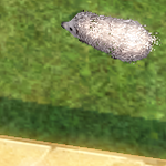 [<b>레이</b>] 사담)