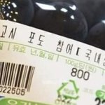 지금 후드집업 <b>사도</b> ㄱㅊ??
