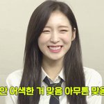 아린 짤파티 하자