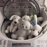 <b>Infj</b> 질문 받움