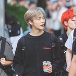 [NCT즌] 재민이 꼼파뇨