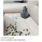 [댓글부탁해] 더치페이하는데 한 명이 돈을 안 보내 ㅠㅠ