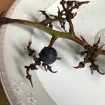 얘들아 일상 공유하자<b>자자</b>