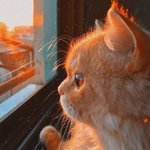 [댓글부탁해] 나한테 추근<b>덕대</b>는오빠있는데