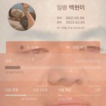 곰신 빠순이의 <b>숙명</b>