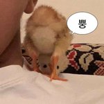 너넨 친구가 자꾸 <b>남친</b>사진