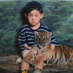 몬<b>베베</b>들아 이거 찐 호랑이임????