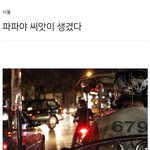 드루이드에게 <b>씨앗</b>을 주면 일어나는 일