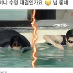 [NCT즌] 쟈니 재현 <b>수영</b>....