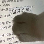 [댓글부탁해] 영어 1등급은 공부 어케 해?