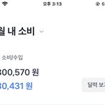 너네 달마다 얼마써?????