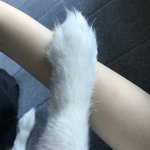 개귀여운사진공유해드림