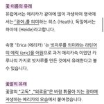 [NCT즌] 9월 17일 <b>탄생</b>화가 광야래