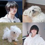 [TXT] 아기강<b>쥐들</b>