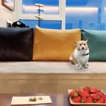 니가 있던 <b>소파</b> 너 없이 나 혼자