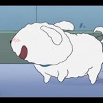 [댓글부탁해] 너네 <b>코로나</b> <b>검사</b> 몇번해봄?