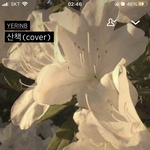 새벽이니까 들어줘야<b>징</b>