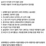 <b>패배</b>는 무슨 병크 도장깨기 하냐