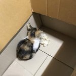 <b>대치</b> 학원이랑 동네 학원이랑 많이 달라?