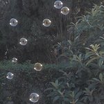 남자들은 <b>대게</b> 어떤 성격이 더 취향임