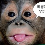 노방짤 <b>픽스</b>아트로 만든걸까?