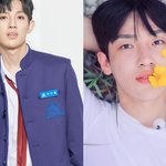 프듀 출신 <b>야생</b>돌