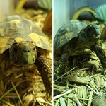 혼내기 대신에 <b>칭찬</b>을 한다면?
