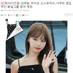 헐 김채원 사쿠라 하이브 새걸그룹으로 들어간대,,,