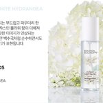 <b>향기템</b> 추천 ⚗︎·̫⚗︎