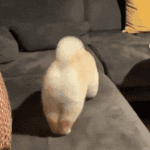 예전에 아빠가 화내면서 <b>내</b> <b>폰</b> 뒤져봤는데