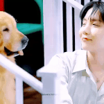 [<b>아미</b>] 하 <b>방탄</b> 개좋아