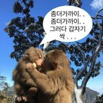유튜브 <b>숏</b><b>츠</b> 볼 때 무조건 스루하는 거 있음?