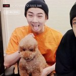 근데 이거 <b>세훈이</b> 강아지 따라한거야?