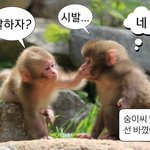 [드루와] 요즘 나 <b>요약</b>