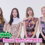 토코<b>페디</b>아?
