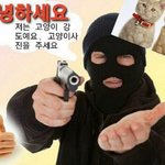 [댓글부탁해] 고양이 사진 좀 주고 <b>가라</b>