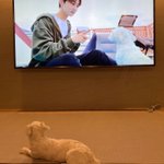 [엔하이픈] 귀엽다…