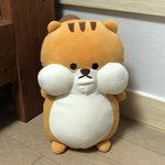 [더보이즈] 동생인형인데<b>창민</b>이닮았다