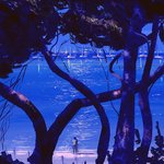 사람은 보이는 것 이상의 존재. 그리고 계속 <b>진화</b> 중인 존재.