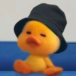 <b>비듬</b> 때문에 조카 스트레스받음