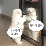 내가 만든 <b>말풍선</b> 짤