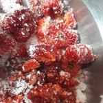 이 새벽에 <b>산딸기</b>먹음
