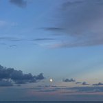 [모두드루와] 스트릿우먼파이터 예고?봤는데 <b>심사</b>위원이 조금..