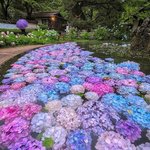 [NCT즌] 이게 합성이 아니라는게 <b>놀라움</b>