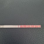 [꼭조언부탁] 임테기 좀 봐주세요