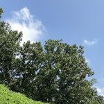 [트레저] <b>포켓몬</b>에 진심인 아이돌