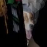 [NCT즌] 숨은 <b>벨라</b> 찾기