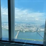 [이것좀봐줘] 실시간 시그니엘