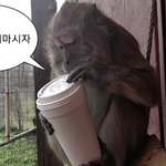 [드루와] <b>후</b>... 나 09년생인데 10,11년생들 너무 깝치네...